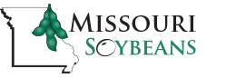 Missouri Soybeans