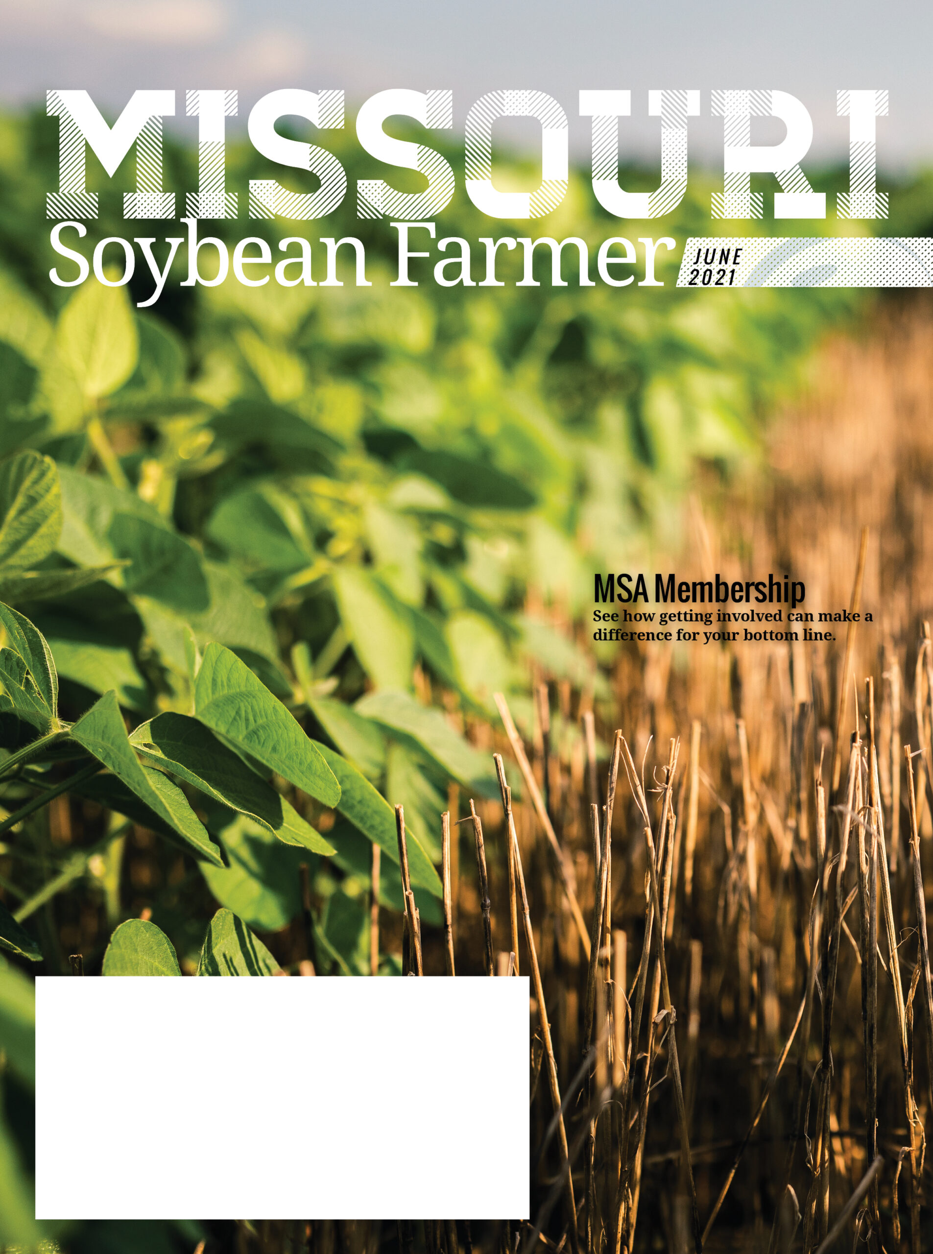 June 2021 Issue of Missouri Soybean Farmer