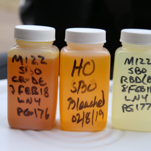 Labeled Bottles Getting Lighter In Color From Left To Right