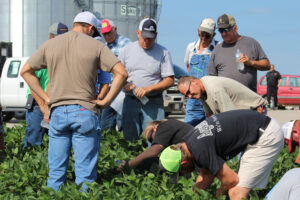 Missouri Strip Trials Can Help Farmers Find Fungicide Effectiveness