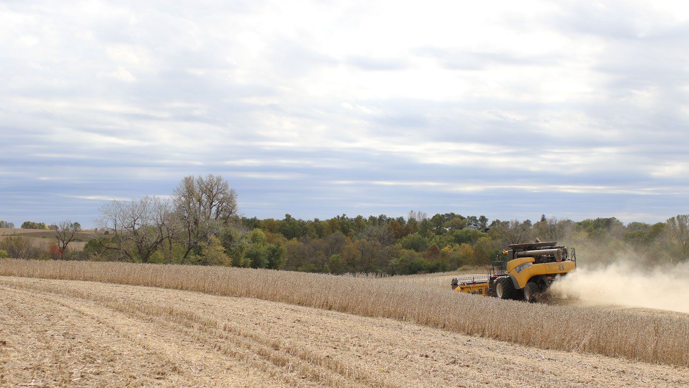 clouds over a soybean field being harvested