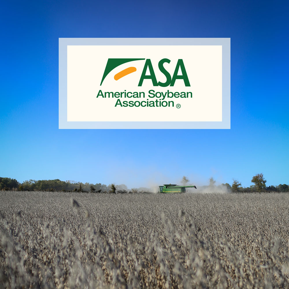 American Soybean Association logo over a field of soybeans at harvest time