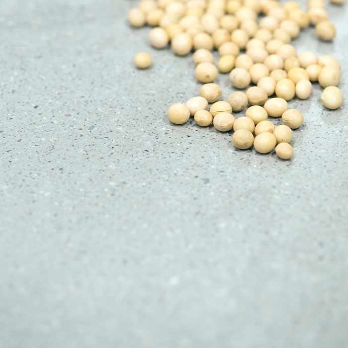 soybeans on countertop