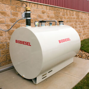 Biodiesel-fueled heating system