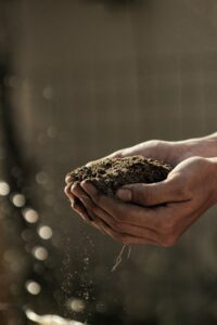 Hands holding healthy soil, soil health, soil quality
