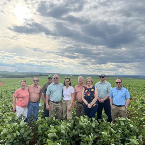 Missouri Soybean Farmers Pose In Brazil Field