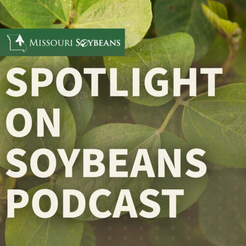 Spotlight On Soybeans Podcast Ep. 1 | Teaser